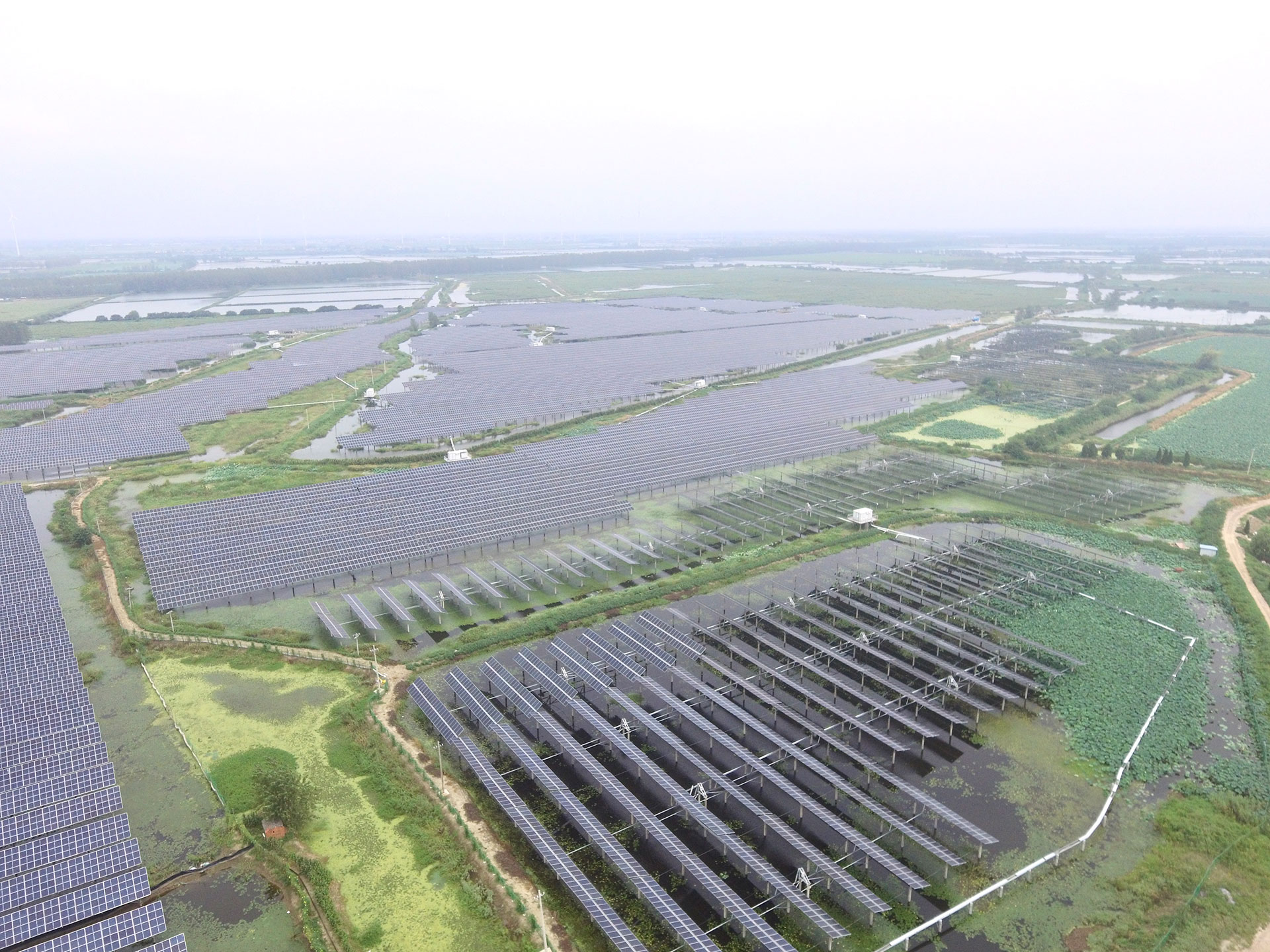 太阳集团科技江苏扬州宝应光伏发电应用领跑基地2号100兆瓦项目